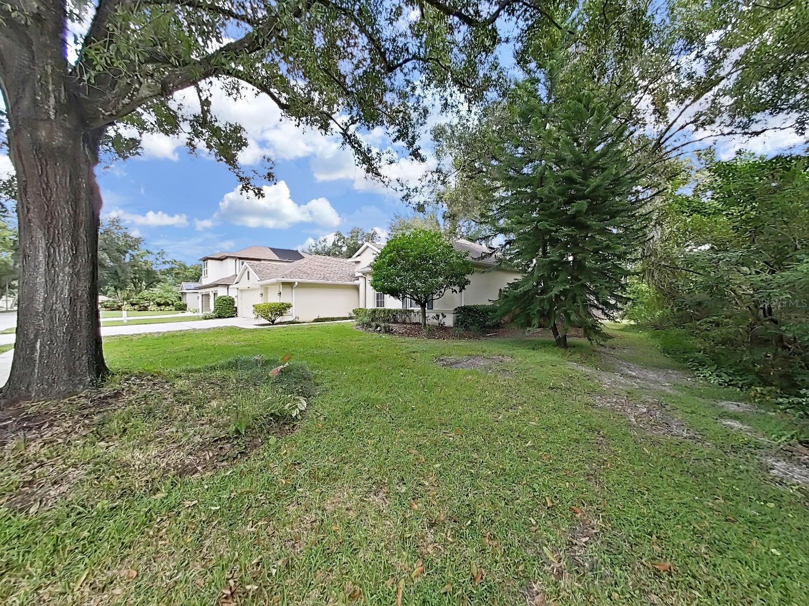 Private Side Yard