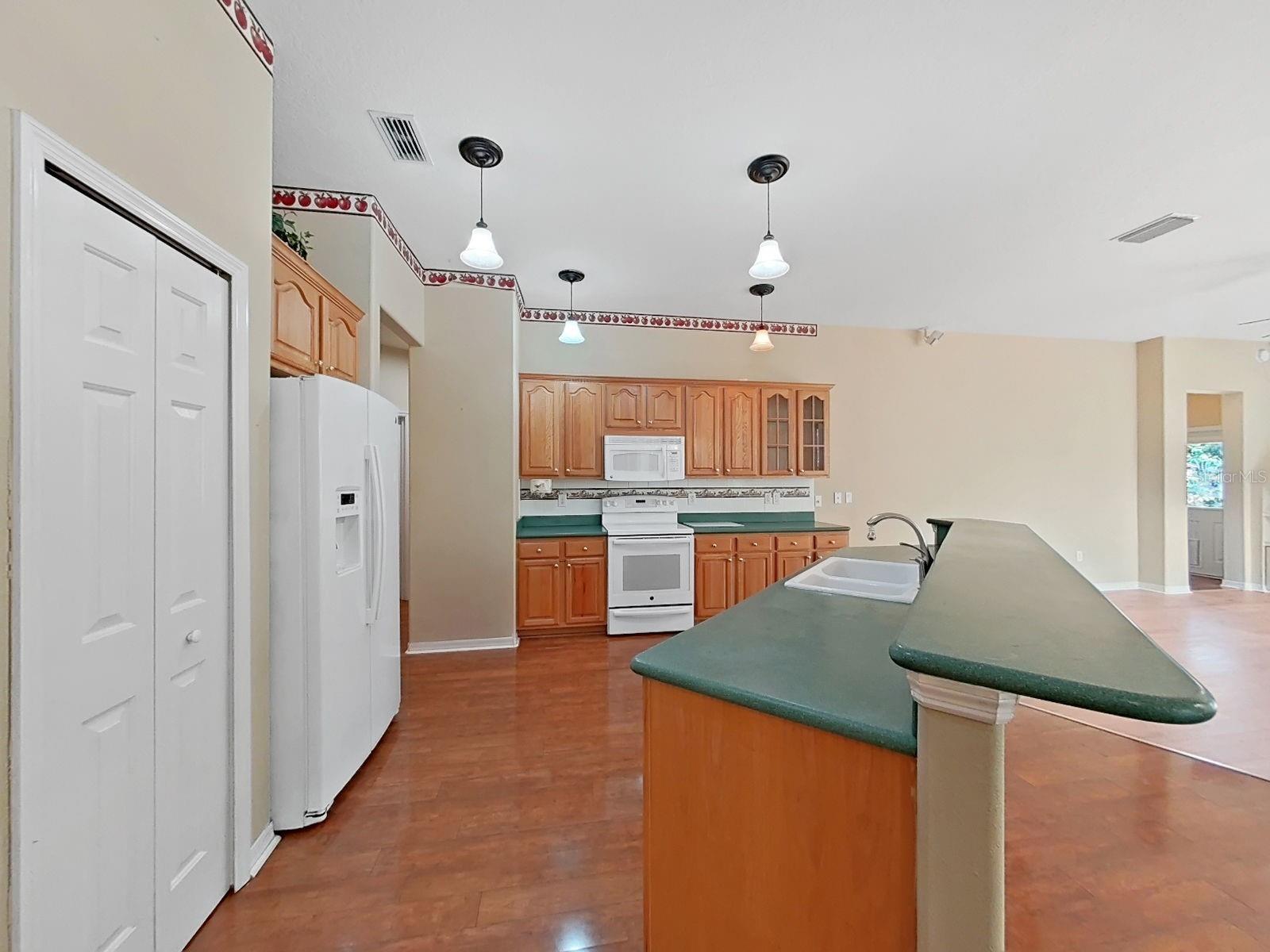 Closet Pantry ~ Lots of Cabinets