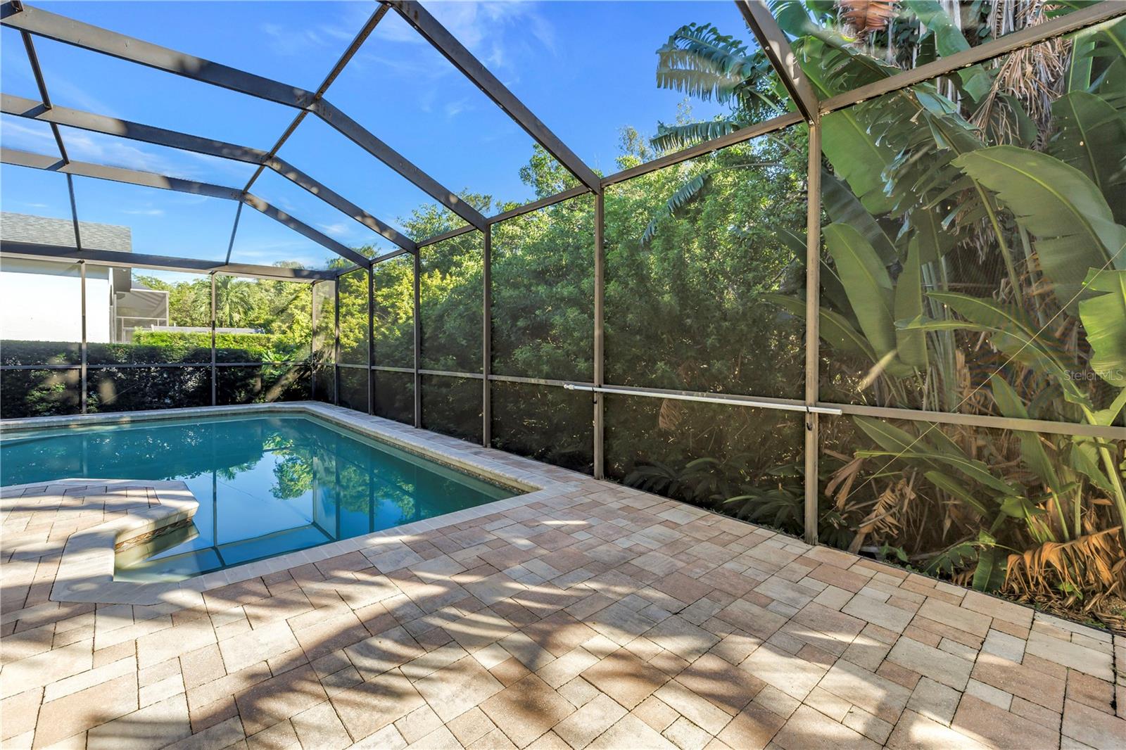 This stunning pool area features multiple access points, including convenient in-pool seating for ultimate relaxation. The surrounding preserve provides a natural, scenic backdrop while offering excellent protection from high winds and storms. This stunning pool area features multiple access points, including convenient in-pool seating for ultimate relaxation. The surrounding preserve provides a natural, scenic backdrop while offering excellent protection from high winds and storms.