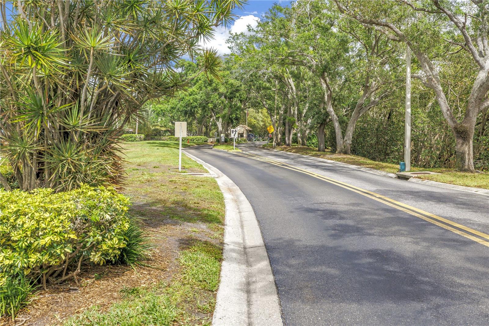 Beautiful, old-growth oak trees shade the entrance to Caya Costa, which is nestled around a curve and hidden from 78th Avenue.