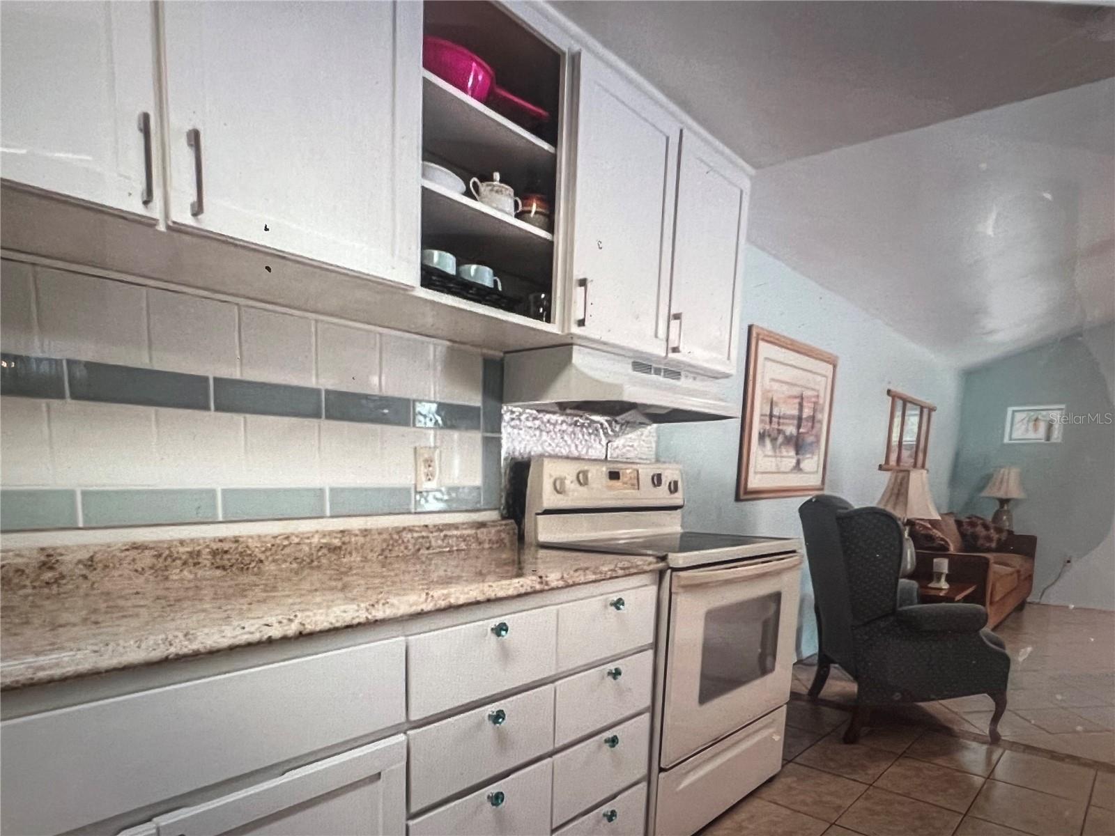 520 GEORGE STREET S, Tarpon Springs, FL 34688