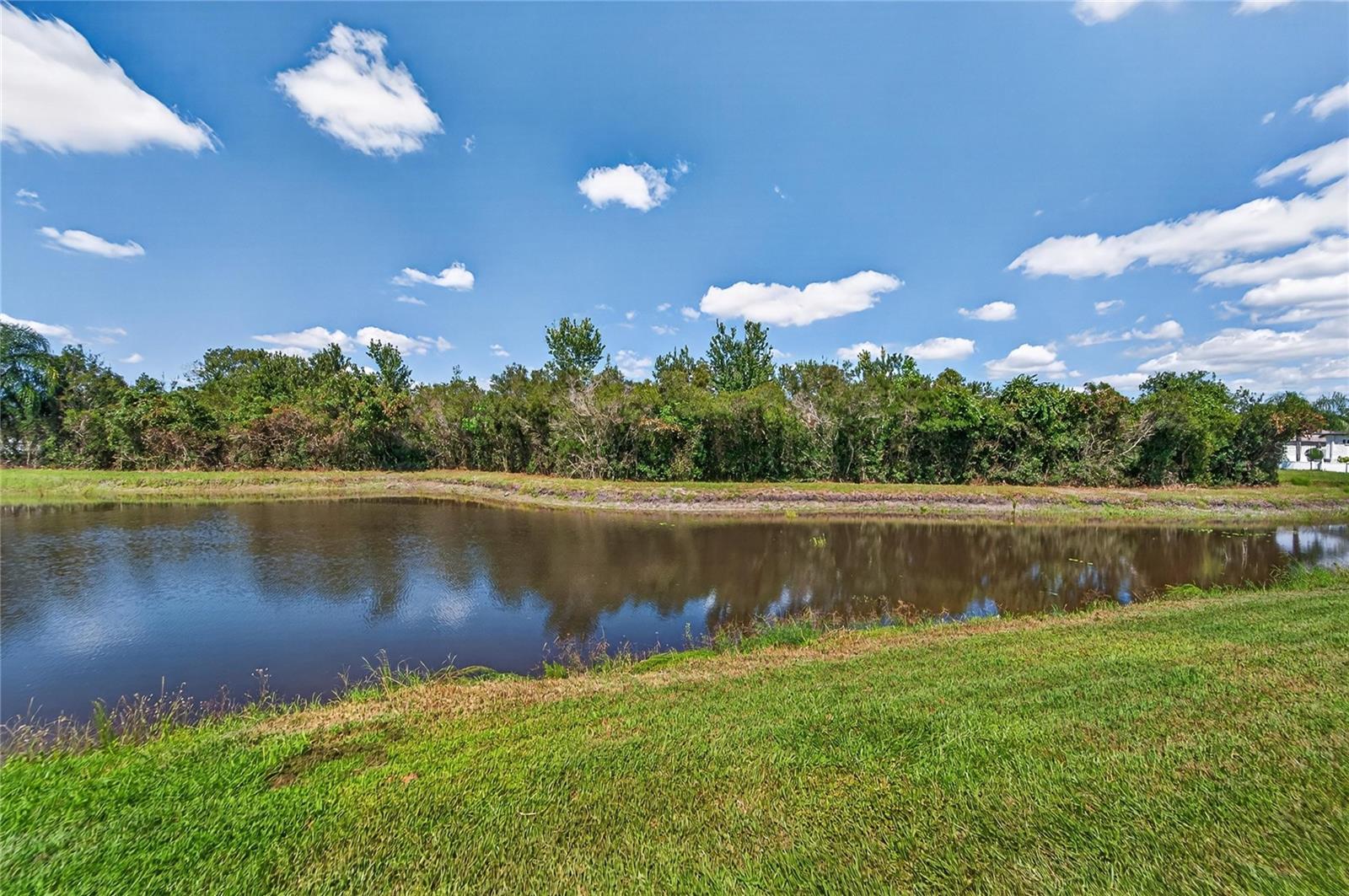 YOUR BACKYARD POND