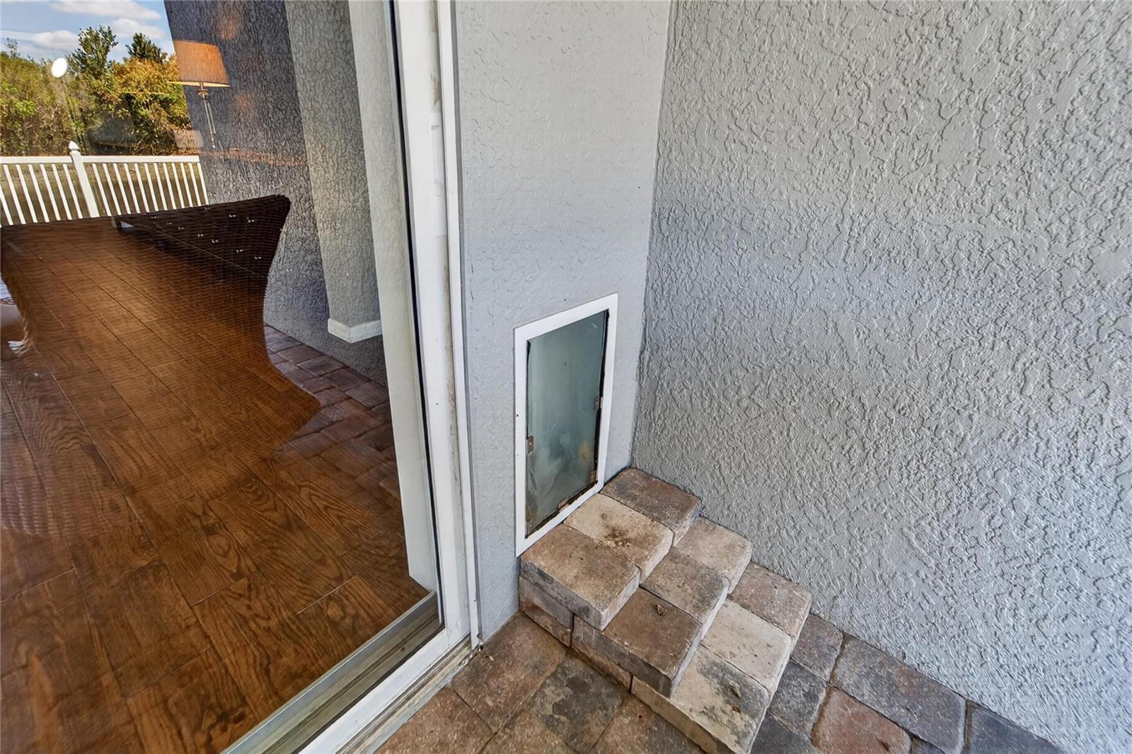 DOGGIE DOOR AND CAT DOOR!