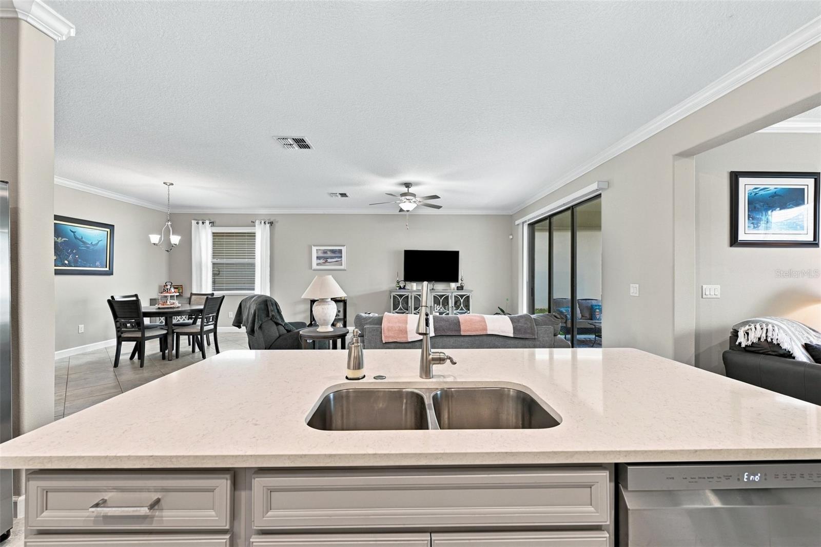 31441 CANNON RUSH DRIVE, San Antonio, FL 33576