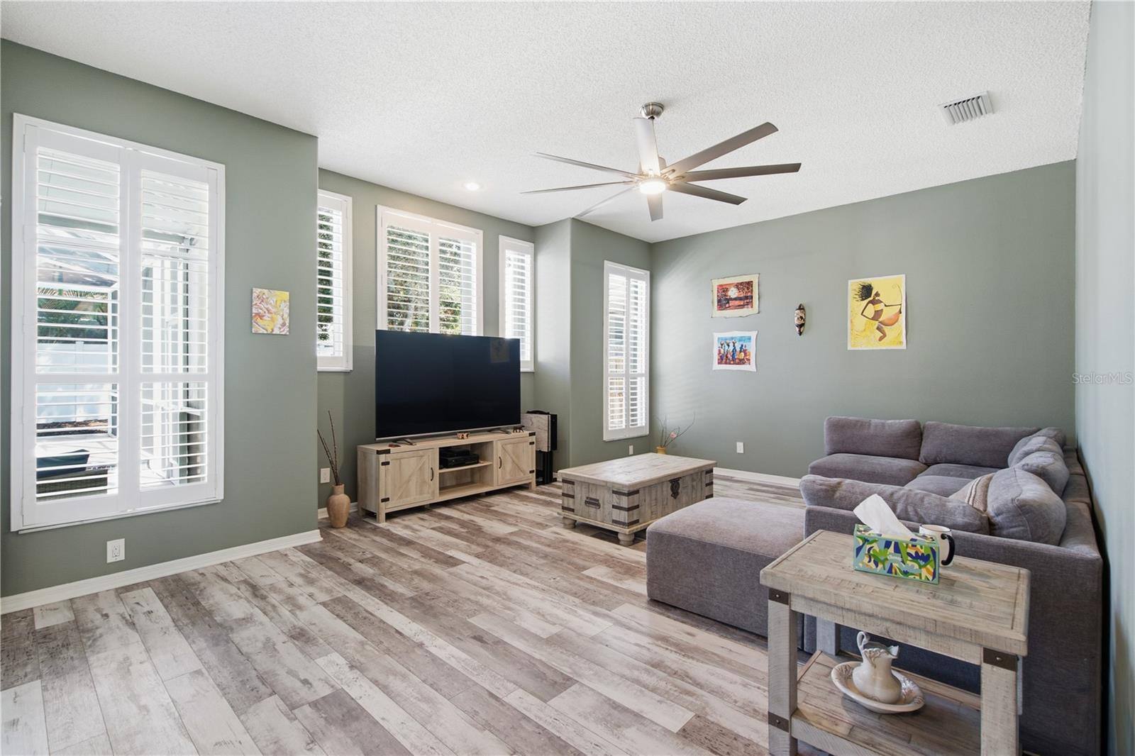cozy family room. lots of light!