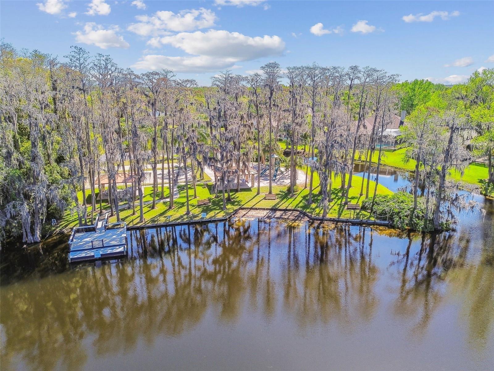 20924 BROADWATER DRIVE, Land O Lakes, FL 34638
