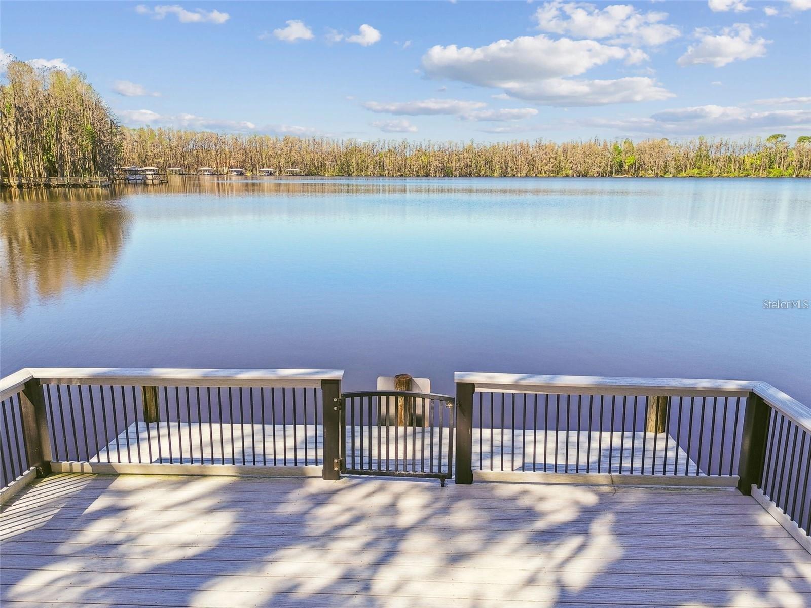 20924 BROADWATER DRIVE, Land O Lakes, FL 34638