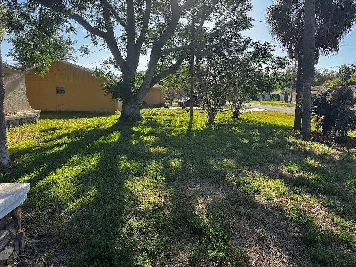 Yard