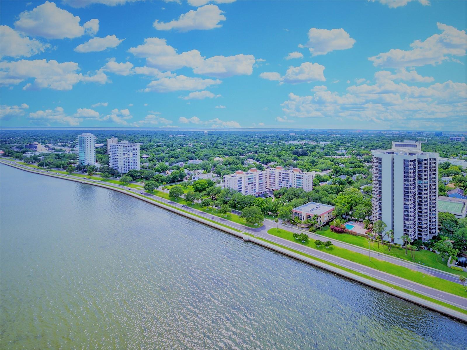 2419 BAYSHORE BOULEVARD, #2N, Tampa, FL 33629 2419 BAYSHORE BOULEVARD, #2N, Tampa, FL 33629