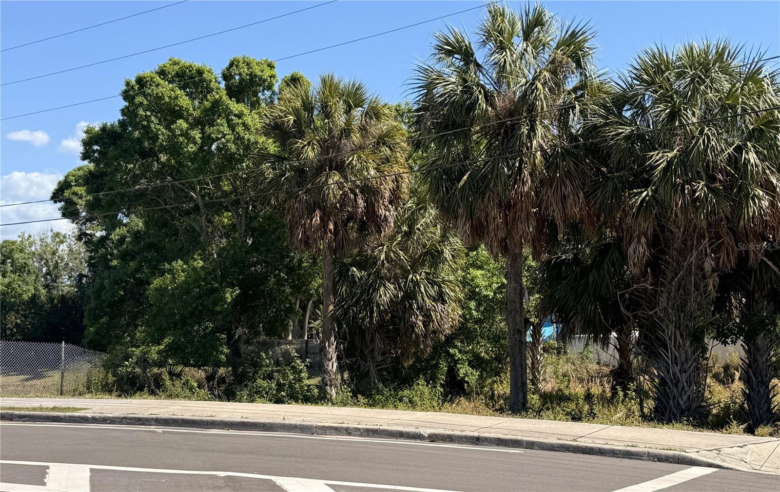 0 E LIVE OAK STREET, Tarpon Springs, FL 34689
