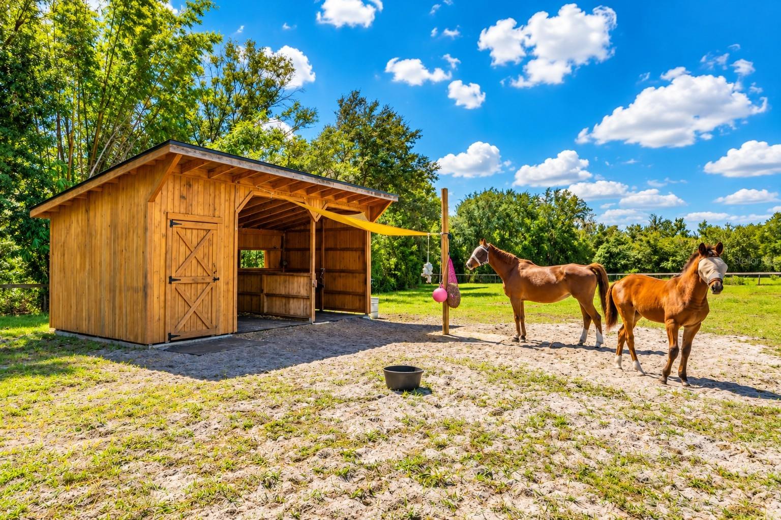 11526 TROTTING DOWN DRIVE, Odessa, FL 33556