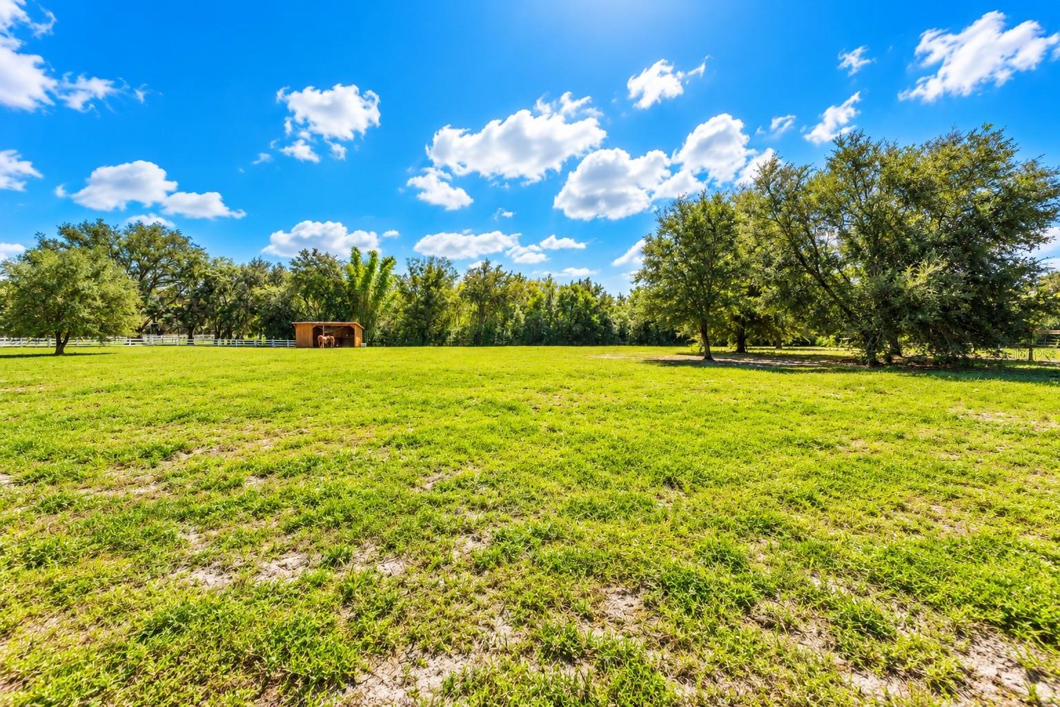 11526 TROTTING DOWN DRIVE, Odessa, FL 33556