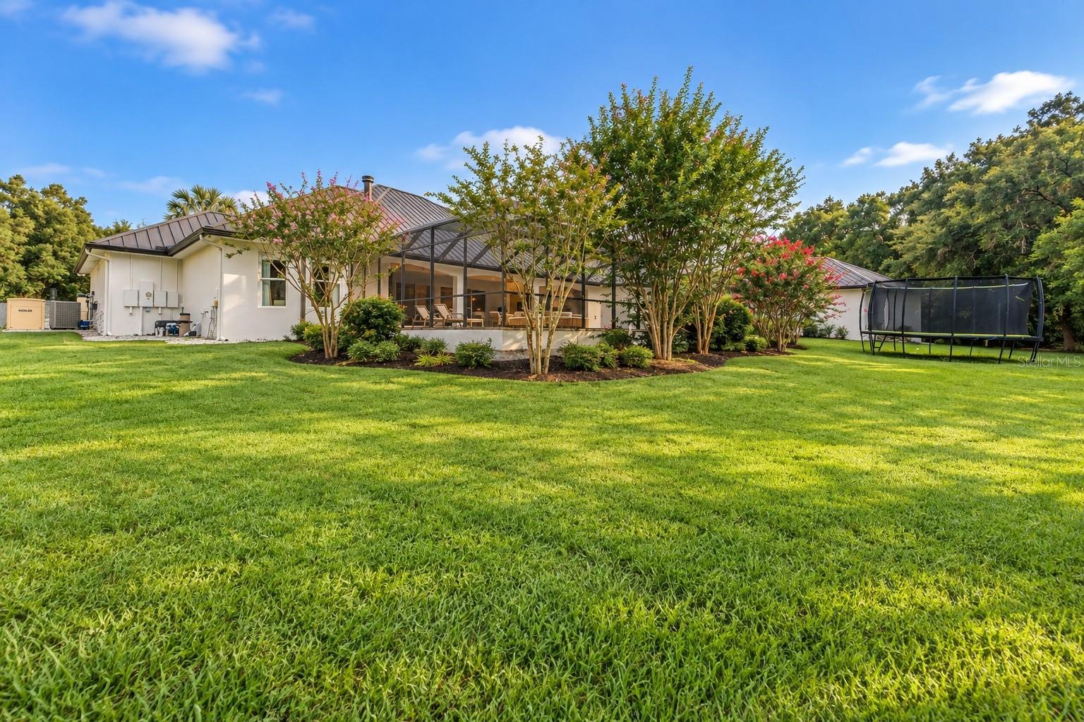 11526 TROTTING DOWN DRIVE, Odessa, FL 33556