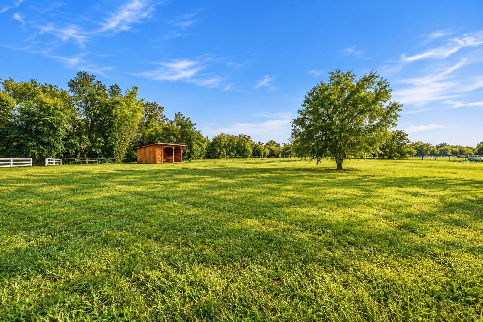 11526 TROTTING DOWN DRIVE, Odessa, FL 33556