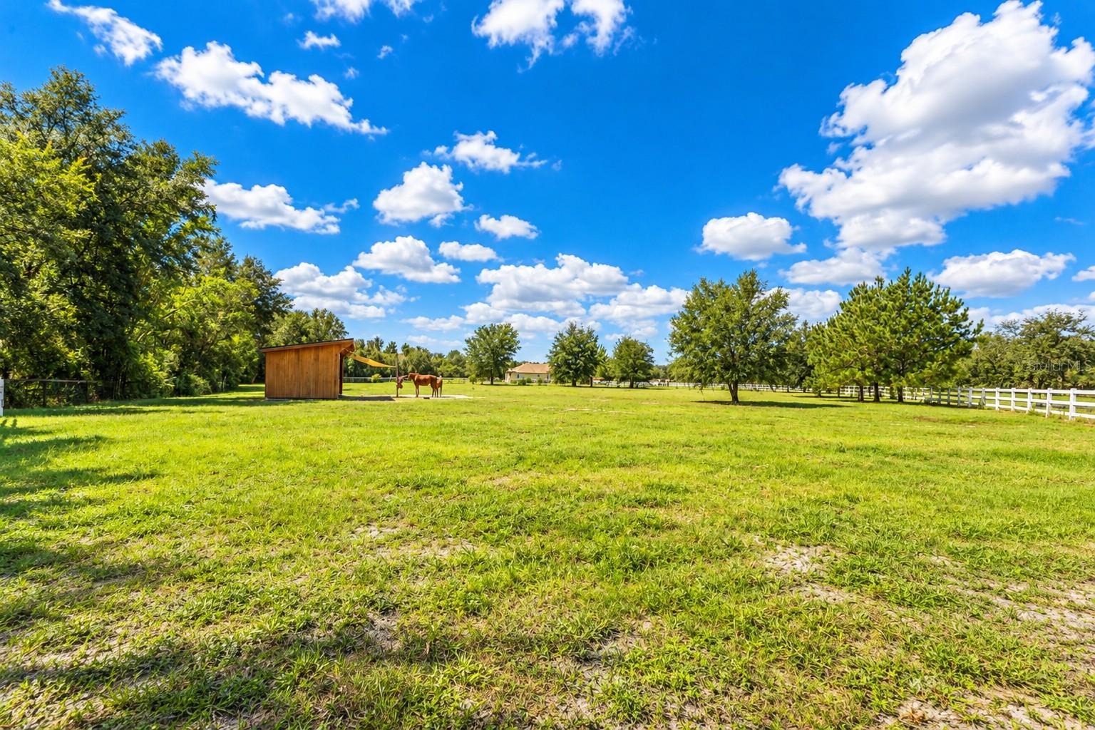 11526 TROTTING DOWN DRIVE, Odessa, FL 33556