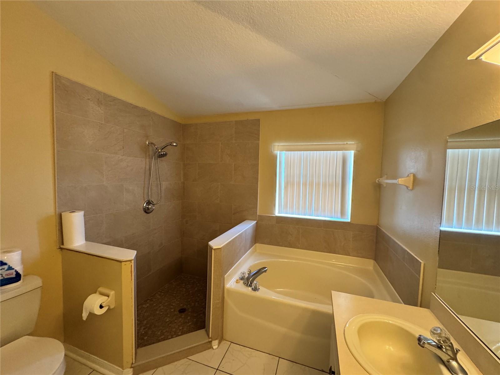 4707 RAMSHEAD DRIVE, Valrico, FL 33594