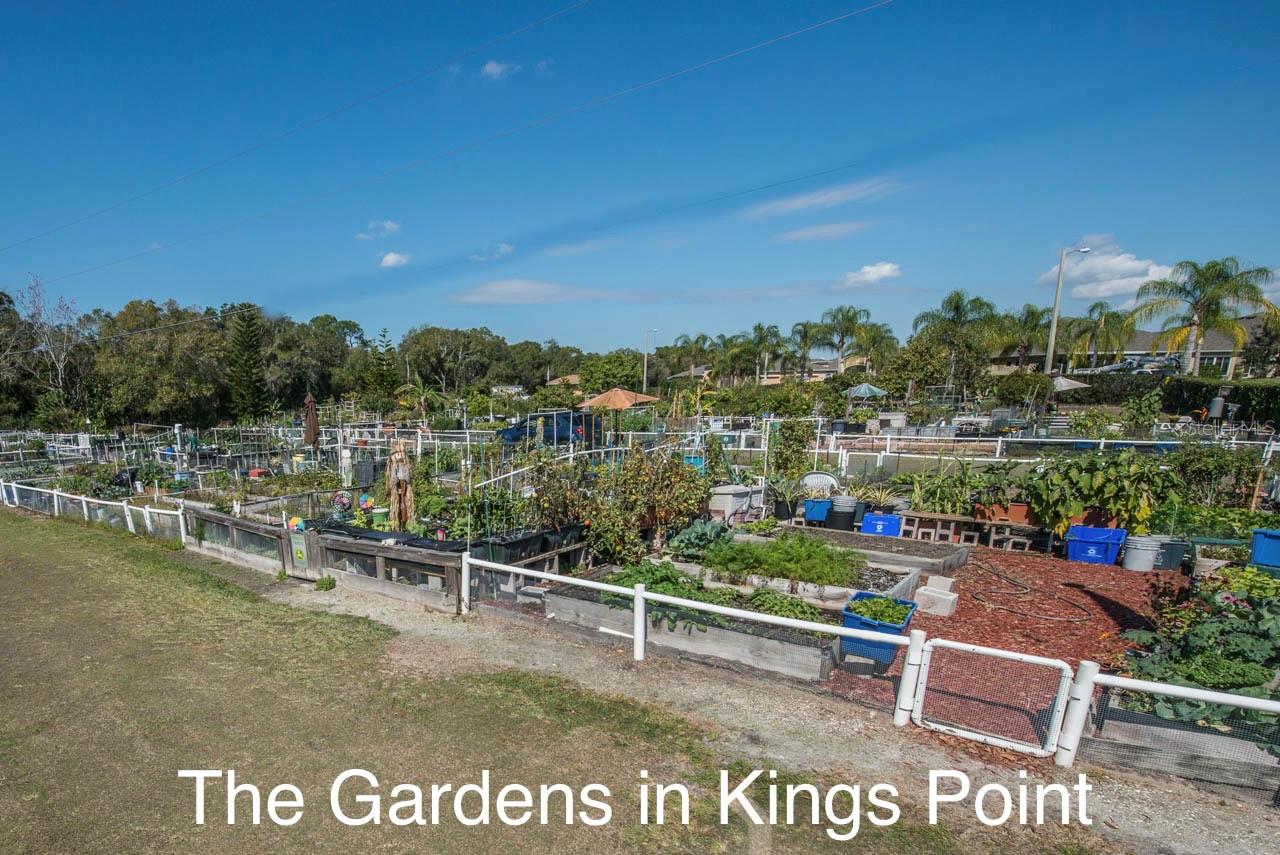 1802 BEDFORD LANE, #9, Sun City Center, FL 33573