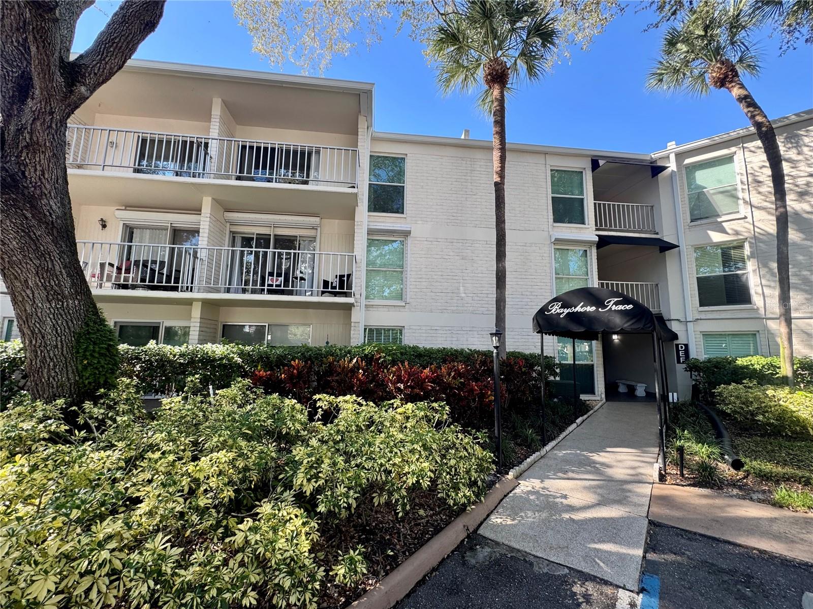 3325 BAYSHORE BOULEVARD, #F31, Tampa, FL 33629