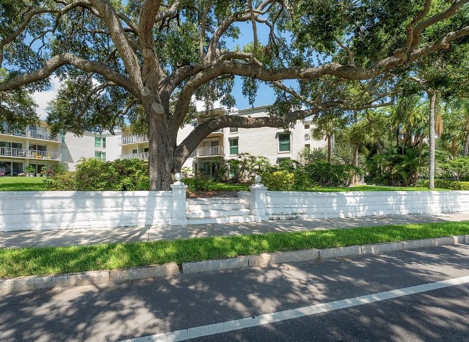 3325 BAYSHORE BOULEVARD, #F31, Tampa, FL 33629