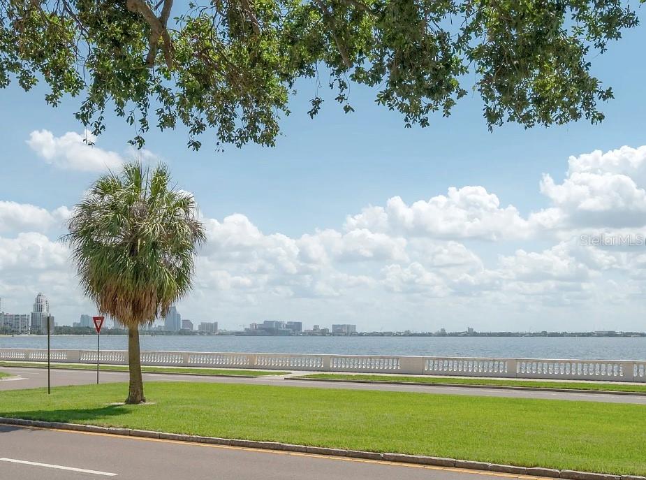 3325 BAYSHORE BOULEVARD, #F31, Tampa, FL 33629