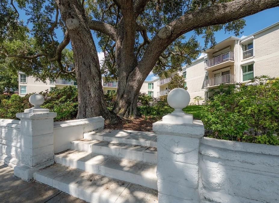 3325 BAYSHORE BOULEVARD, #F31, Tampa, FL 33629