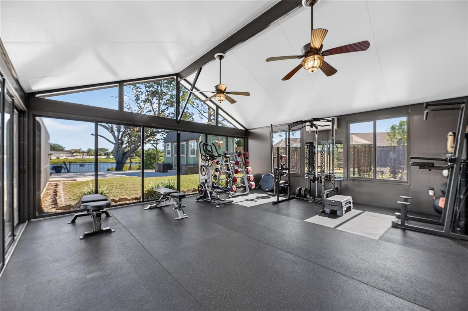 Professional grade gym