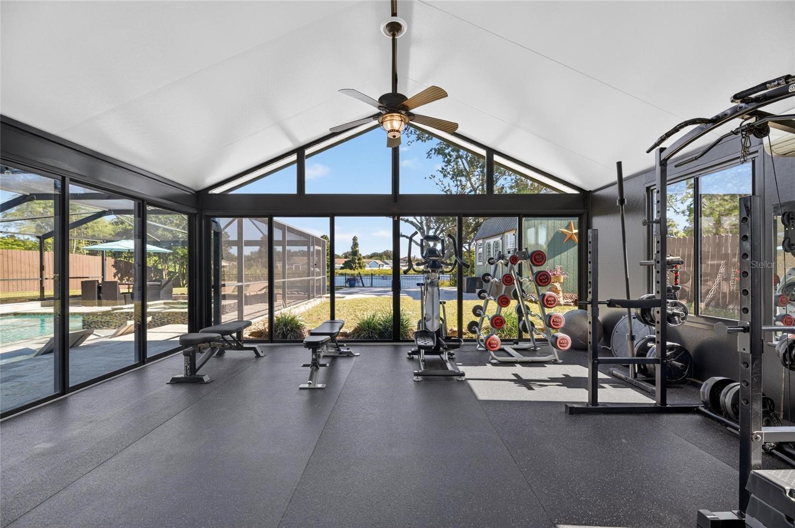 Professional grade gym