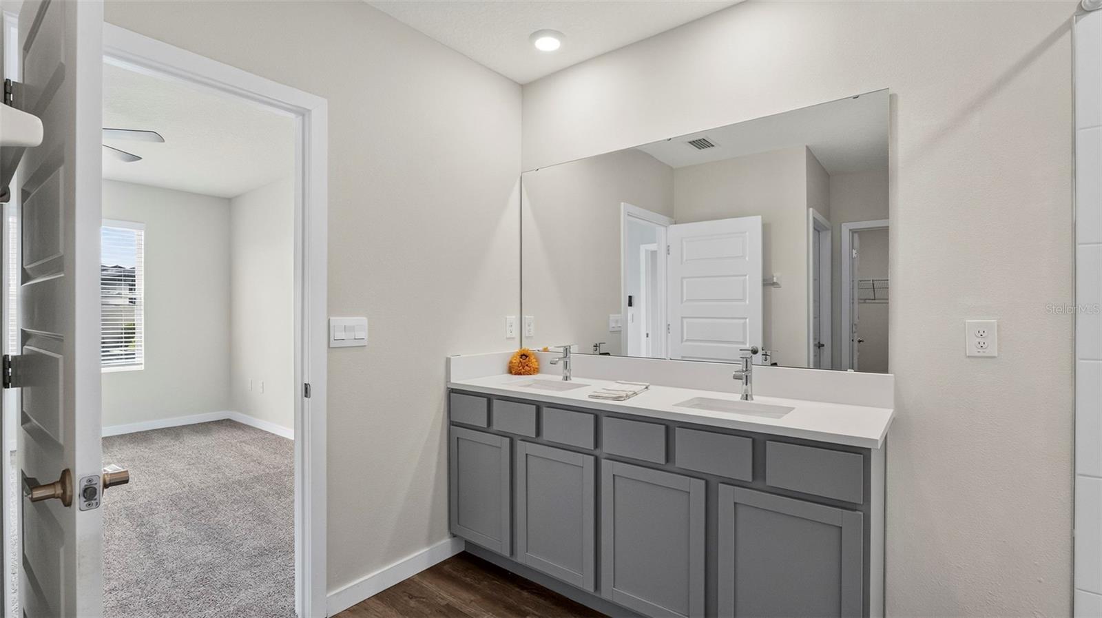 31938 TREASURE DOCK ISLE, Wesley Chapel, FL 33545