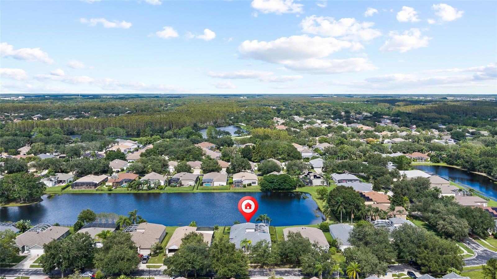 19015 FERN MEADOW LOOP, Lutz, FL 33558