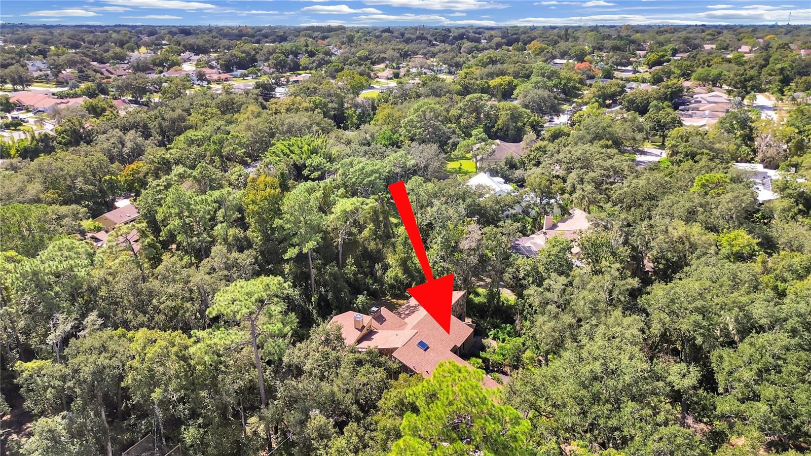 3055 OAK CREEK DRIVE N, Clearwater, FL 33761