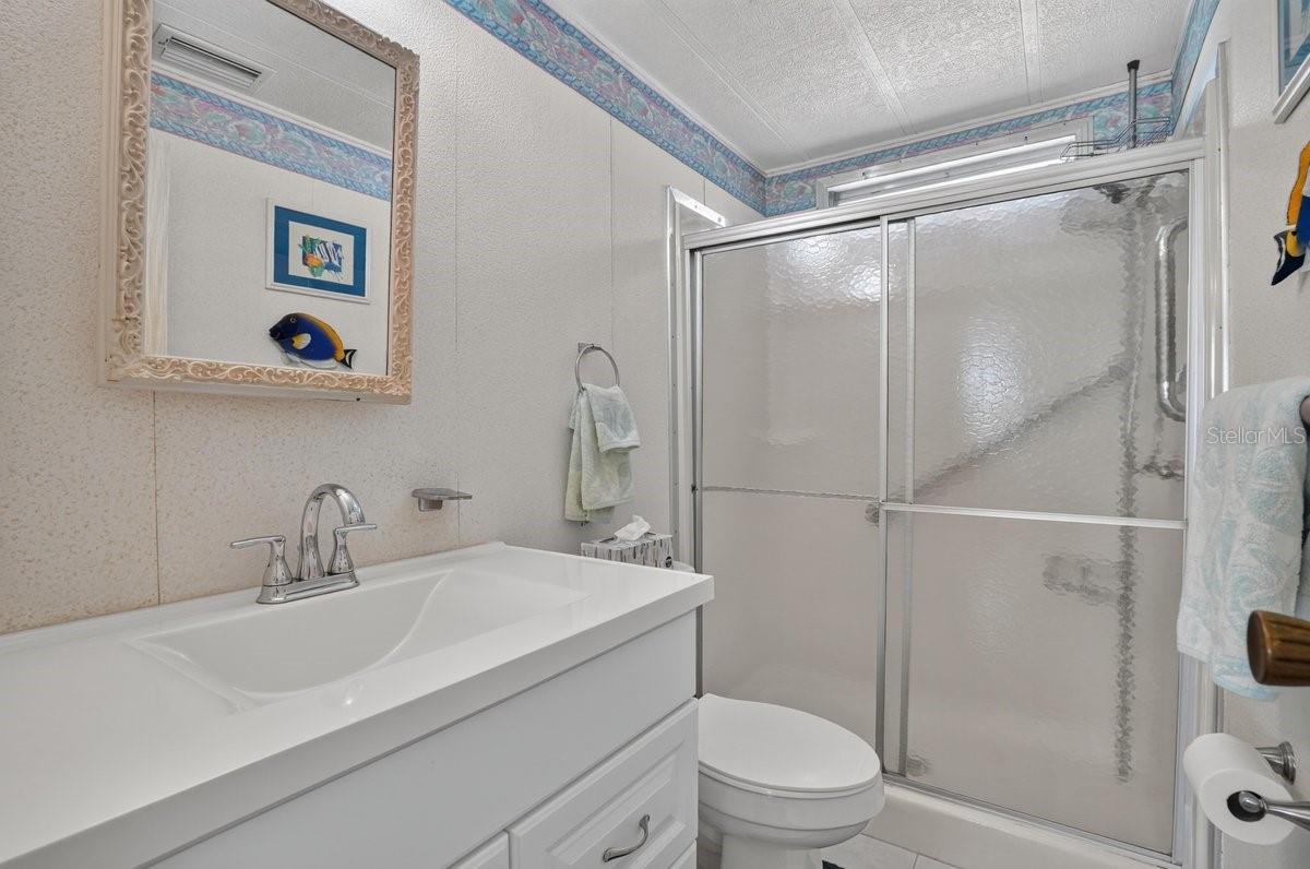 Hall Bath with Newer Cabinet