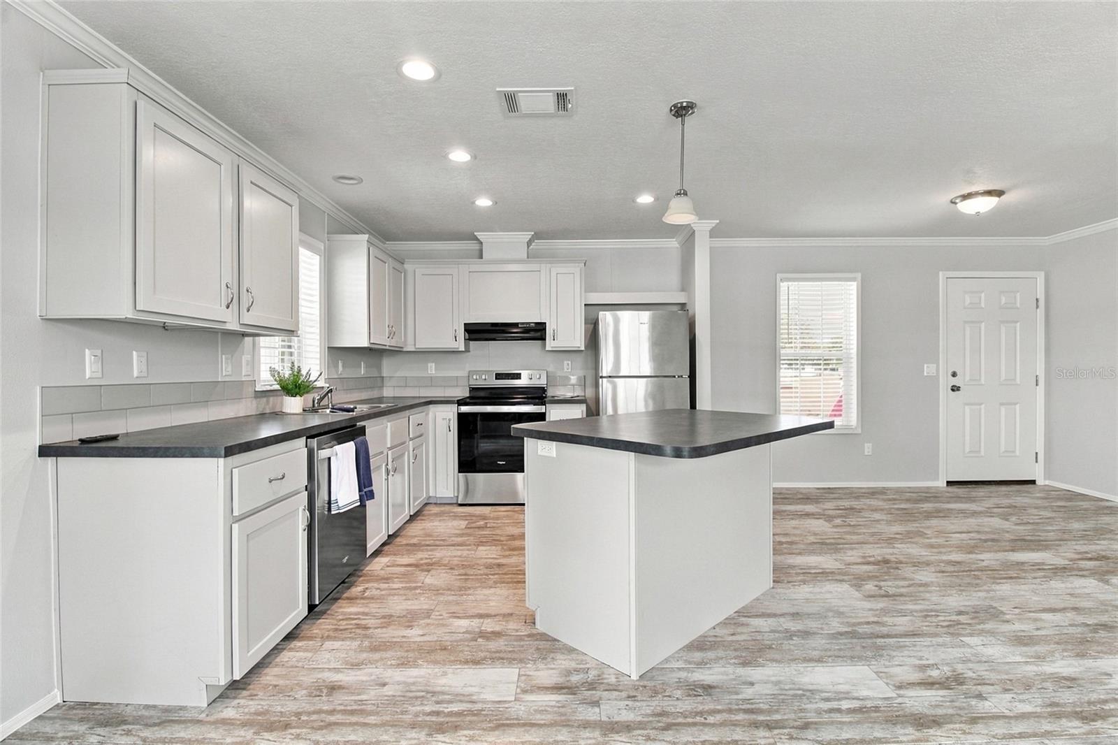 Open Concept Kitchen, LR & DR