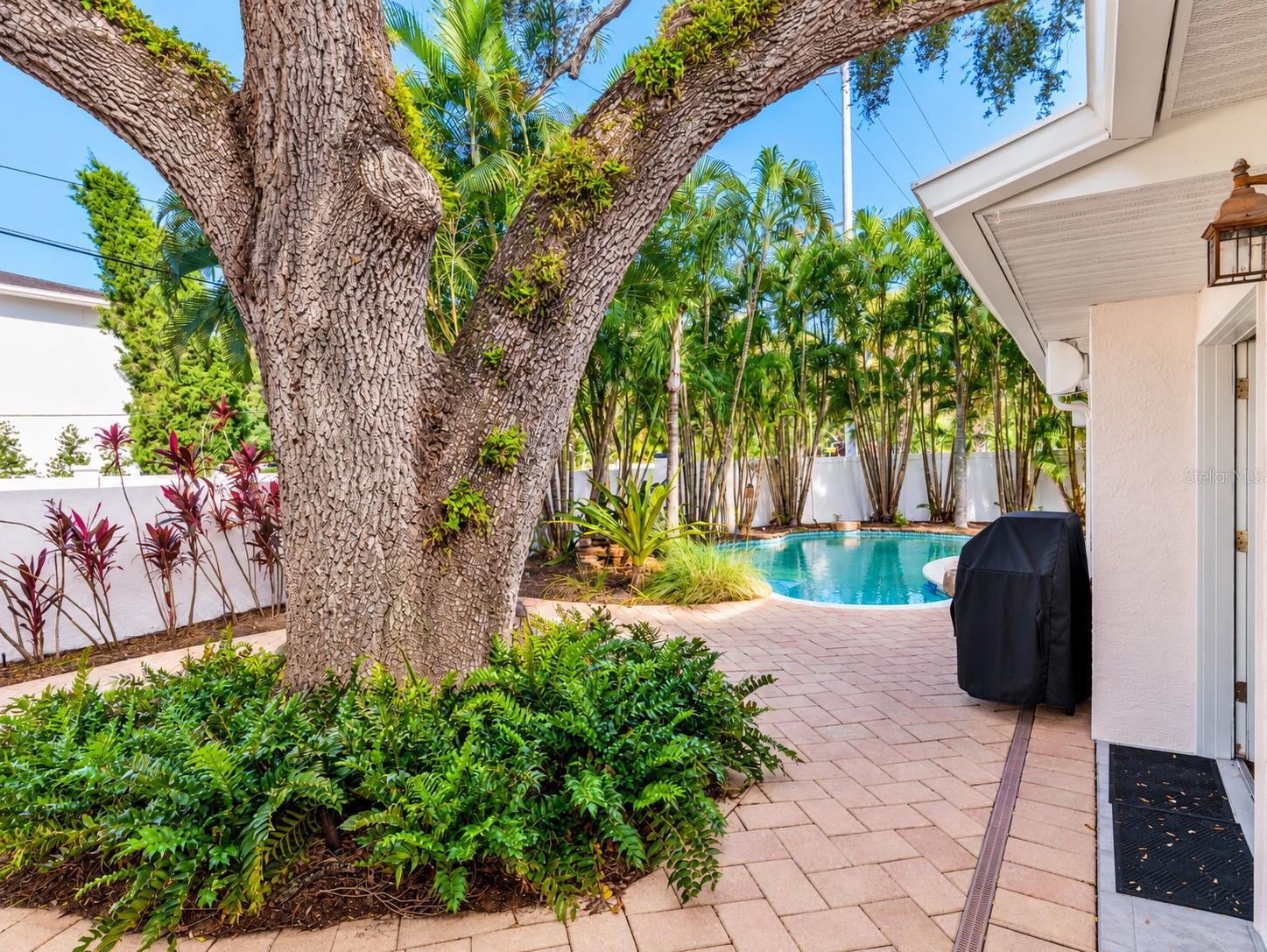 2633 W SUNSET DRIVE, Tampa, FL 33629