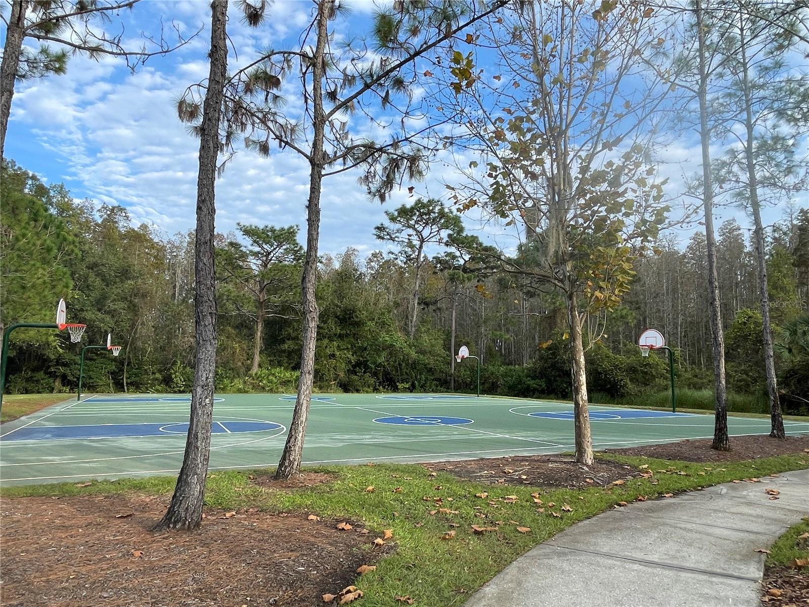 30153 BARNABY LANE, Wesley Chapel, FL 33543