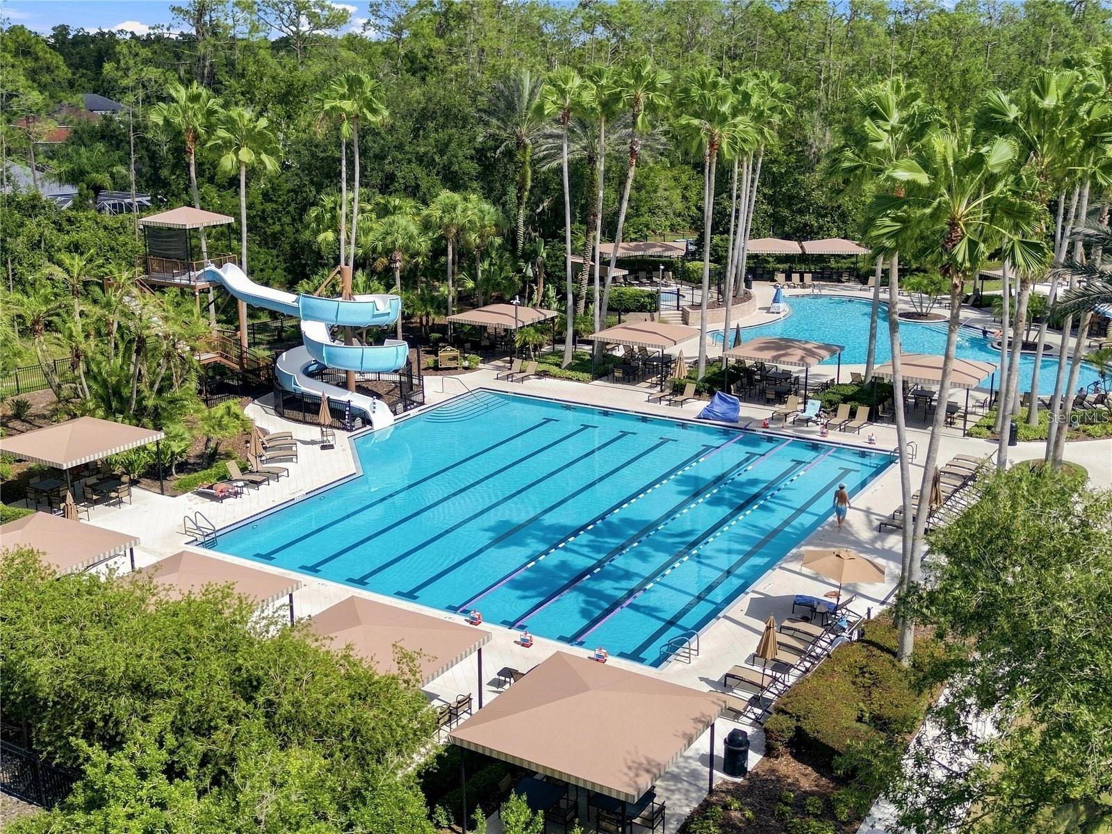 Olympic sized Pool and SLIDE!