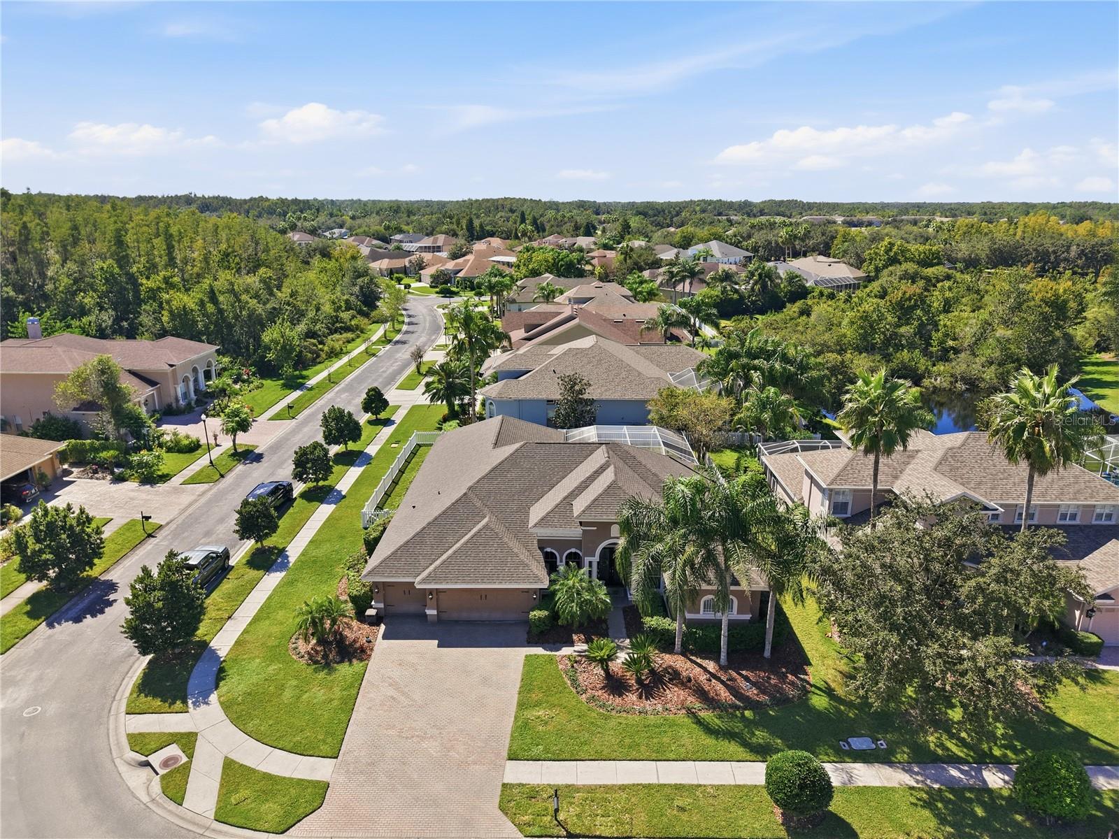 Welcome to 3905 Sorrel Vine Drive, located in Seven Oaks of Wesley Chapel. Corner lot and one of the most private areas in Seven Oaks. Welcome to 3905 Sorrel Vine Drive, located in Seven Oaks of Wesley Chapel. Corner lot and one of the most private areas in Seven Oaks.