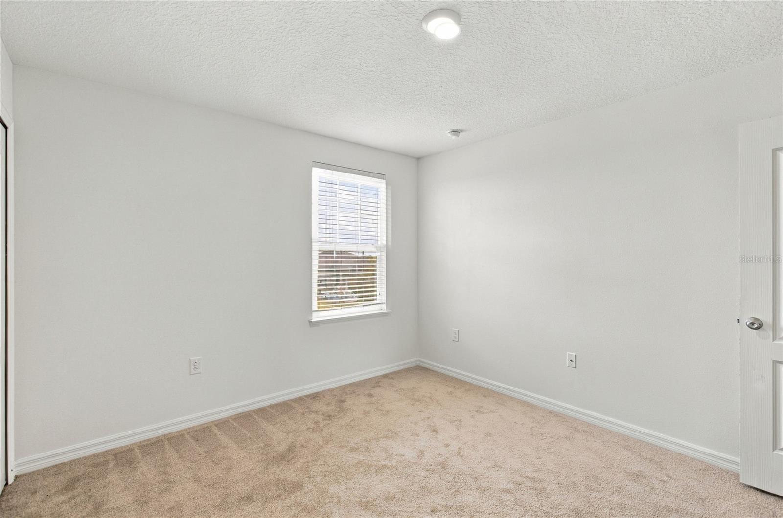 7945 OLIVE BROOK DRIVE, Wesley Chapel, FL 33545