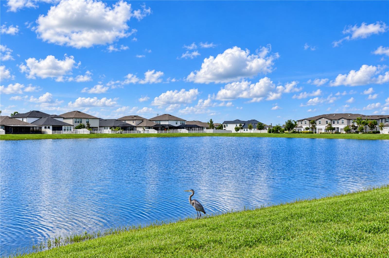 2741 YELLOWHAMMER WAY, New Port Richey, FL 34655