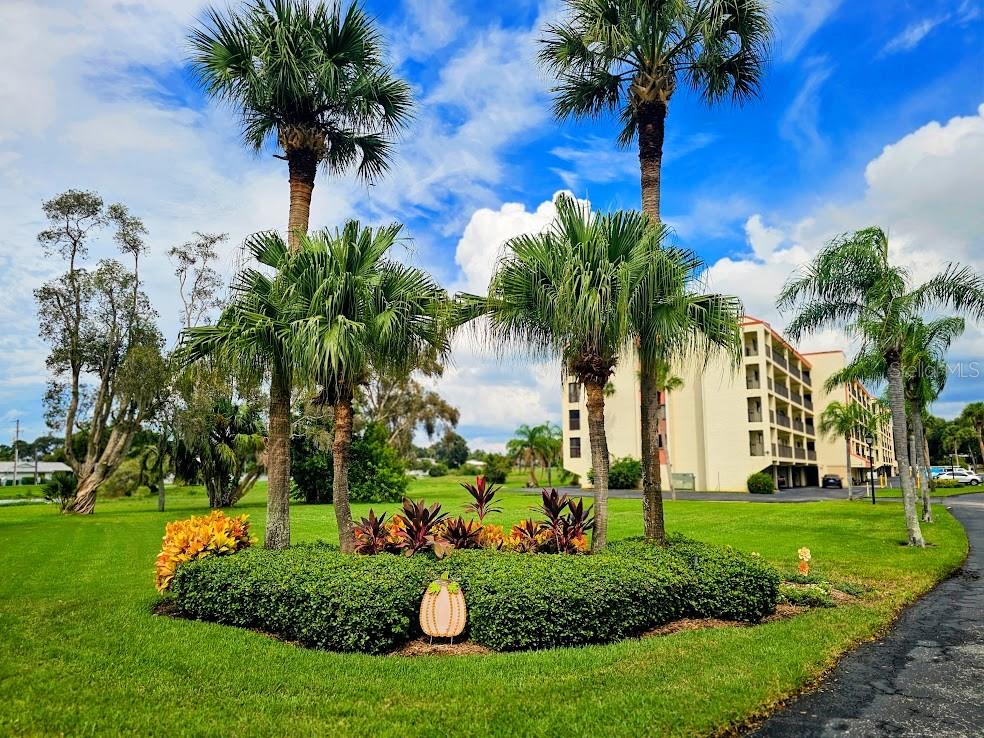 9490 HARBOR GREENS WAY, #503, Seminole, FL 33776