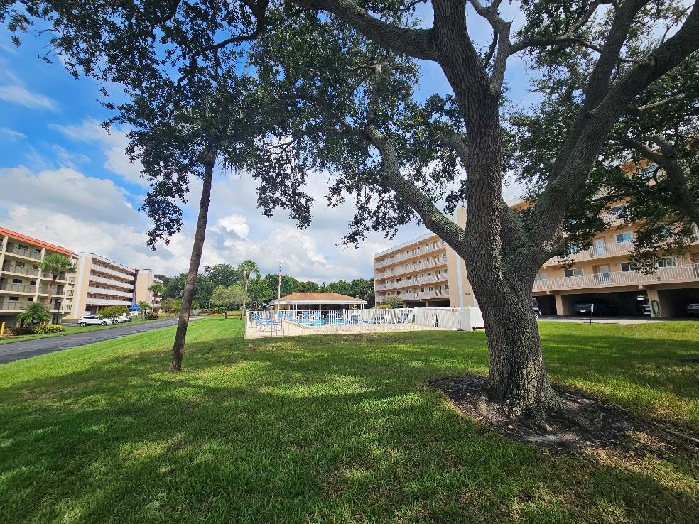 9490 HARBOR GREENS WAY, #503, Seminole, FL 33776