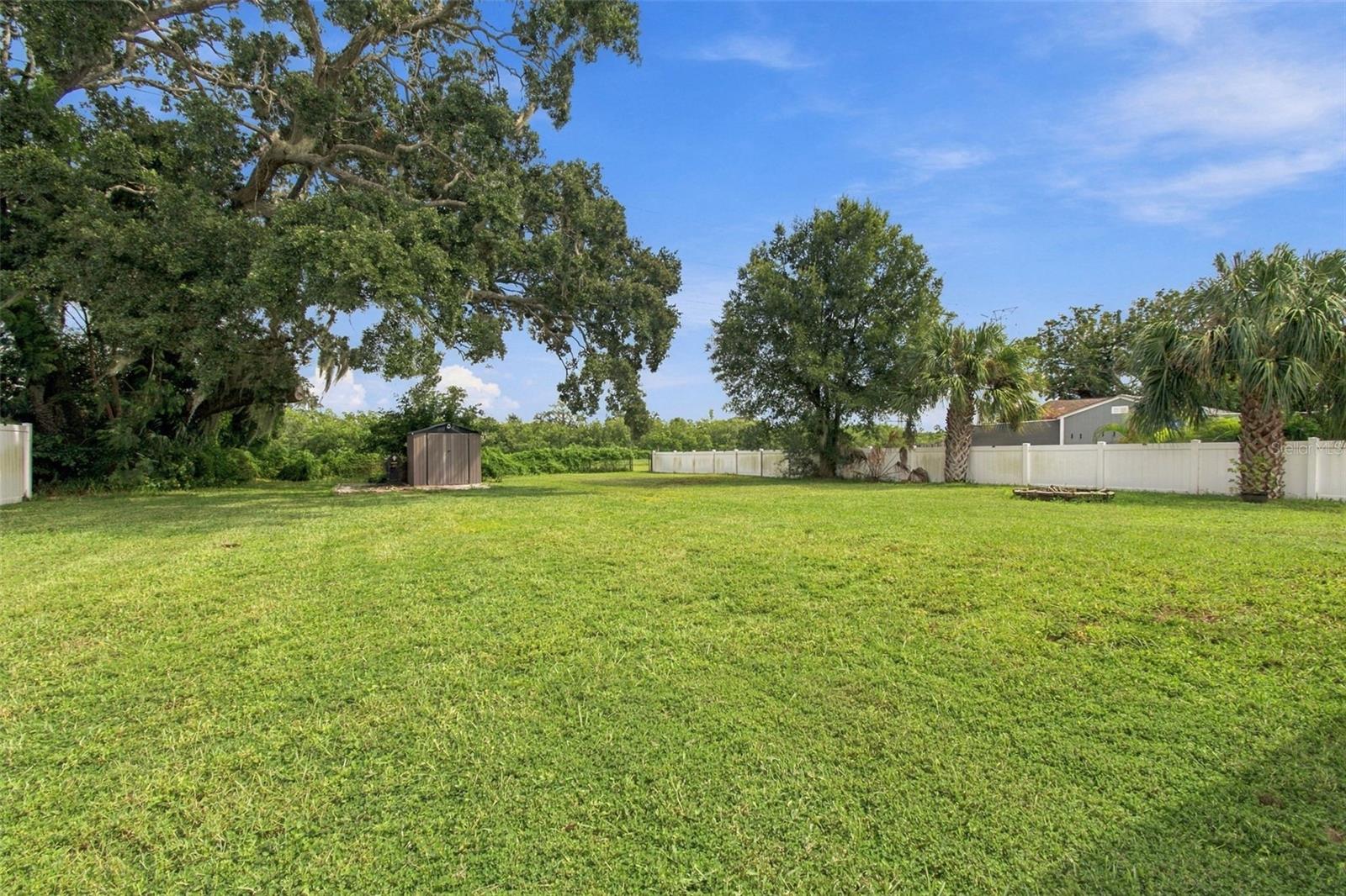 335 COUNTRY CLUB DRIVE, Oldsmar, FL 34677