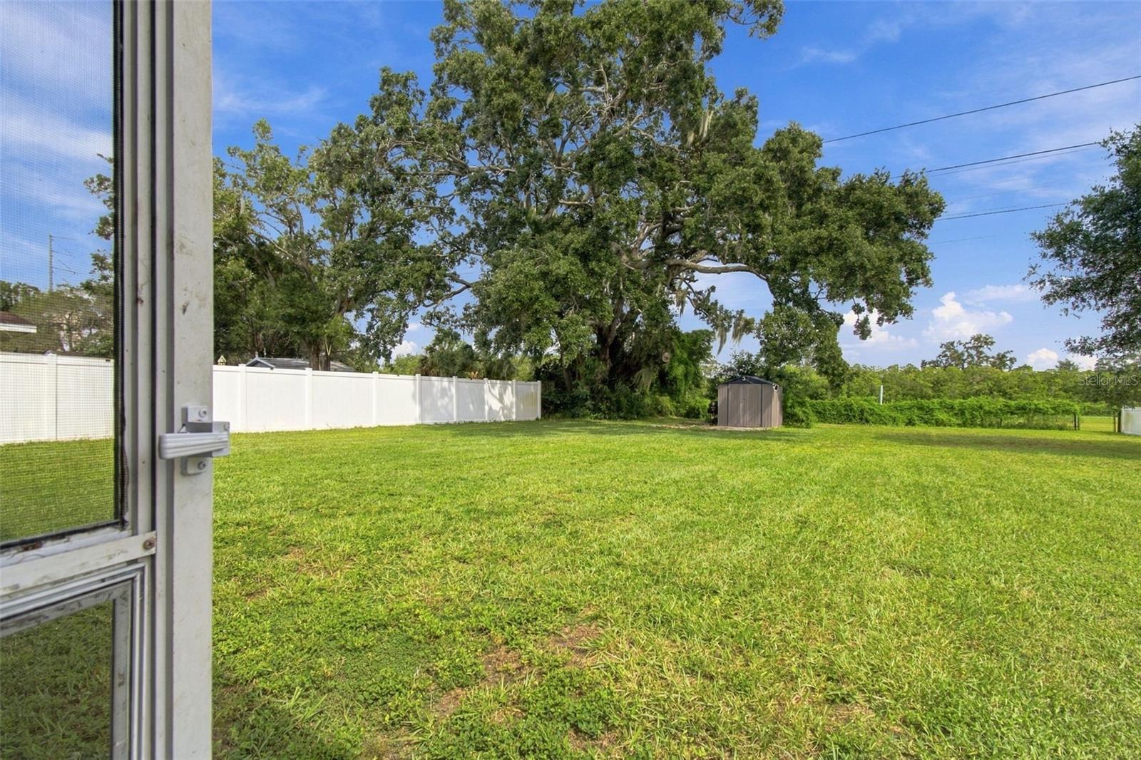 335 COUNTRY CLUB DRIVE, Oldsmar, FL 34677