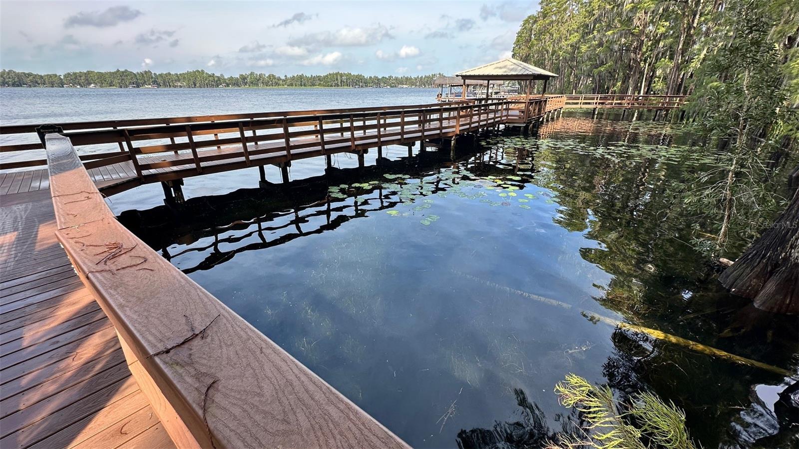 5727 GOLDEN OWL LOOP, Land O Lakes, FL 34638