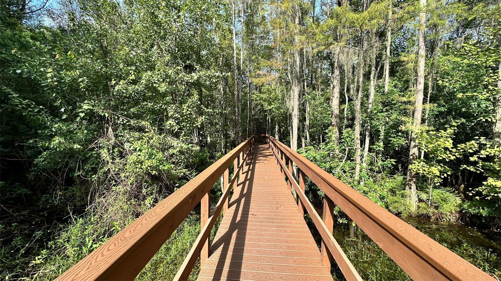 5727 GOLDEN OWL LOOP, Land O Lakes, FL 34638