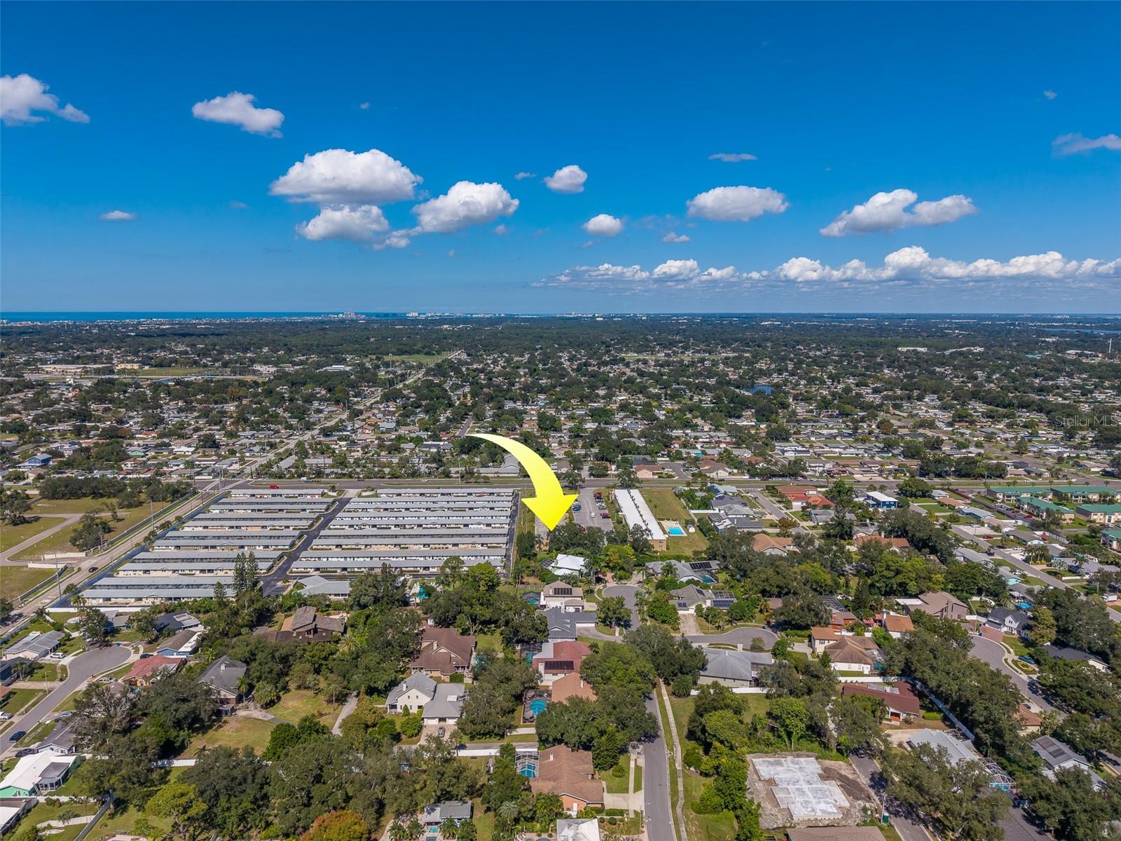 12300 PARK BOULEVARD, #113, Seminole, FL 33772