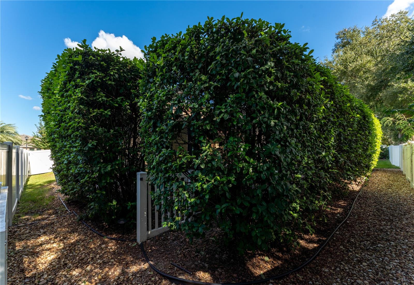 215 PARSONS WOODS DRIVE, Seffner, FL 33584