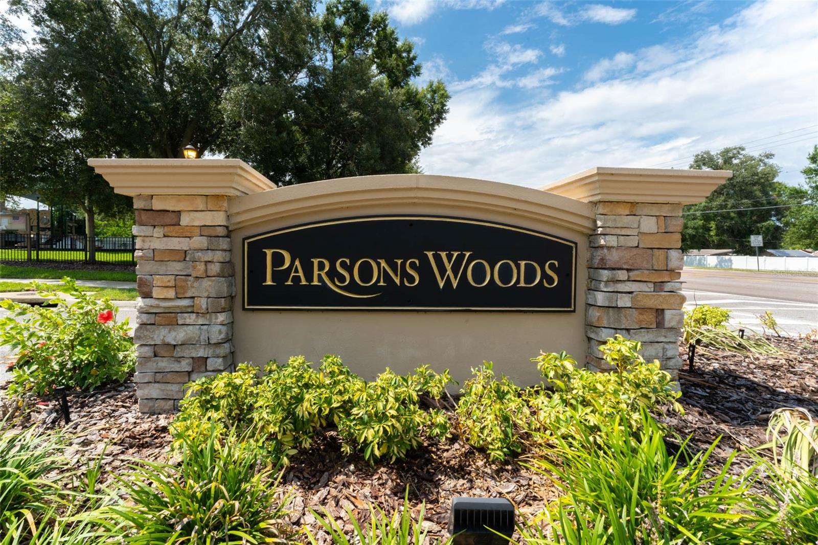215 PARSONS WOODS DRIVE, Seffner, FL 33584