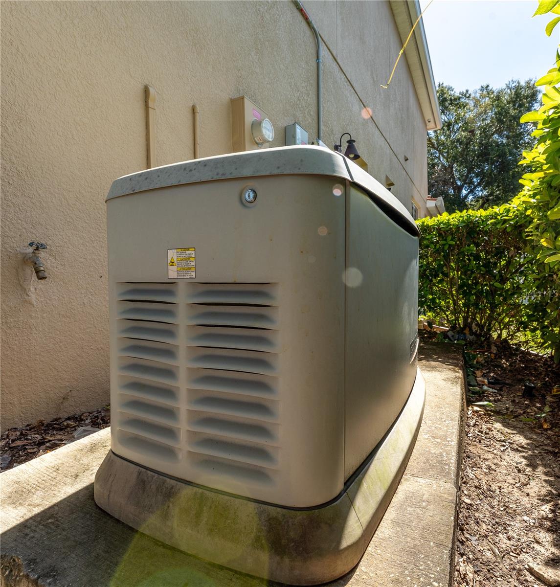 Whole House Generator
