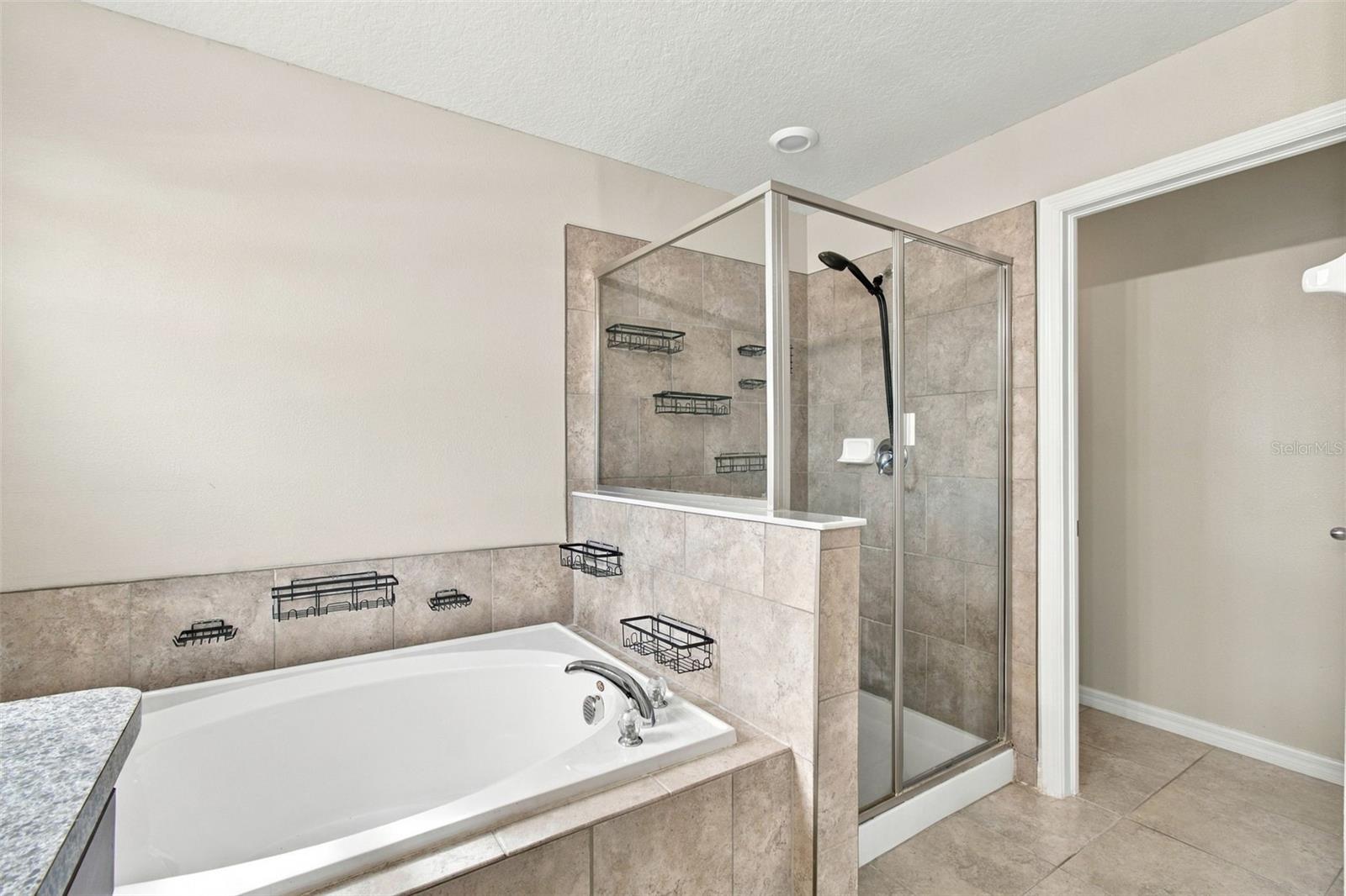 4110 CAT MINT STREET, Tampa, FL 33619
