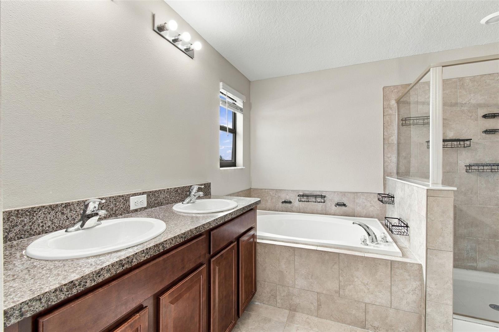 4110 CAT MINT STREET, Tampa, FL 33619